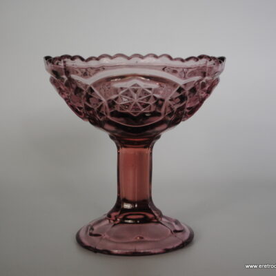 HS Hortensja cukiernica ciekawy kolor