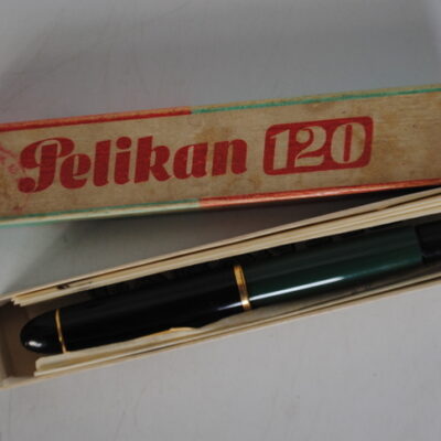 Pelikan pióro wieczne